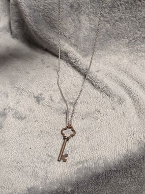 Two-Tone Key Pendant Necklace - Silver Chain with Gold Key